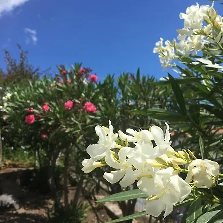 Costa Vacanze 3* Lipari (Isola Lipari)