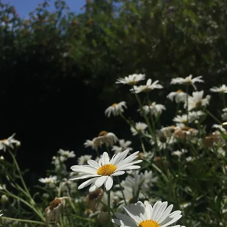 Costa Vacanze Aparthotel