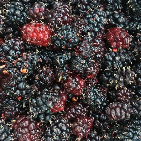 Costa Vacanze Appart hôtel 3*